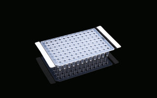 PCR Plate With Adhesive Film