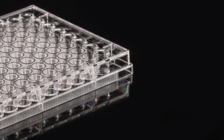 Cell Culture Plates vs Dishes