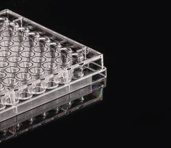 Cell Culture Plates vs Dishes