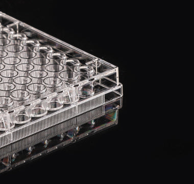 Cell Culture Plates vs Dishes