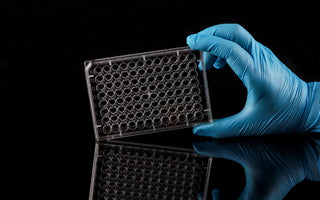 96 Well Cell Culture Plate