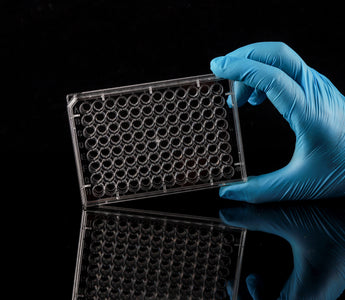 96 Well Cell Culture Plate