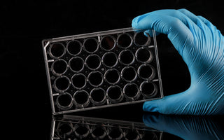 Understanding Cell Culture Plates