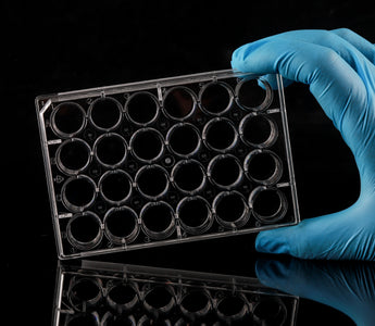 Understanding Cell Culture Plates