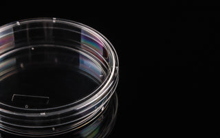 Cell Culture Dish
