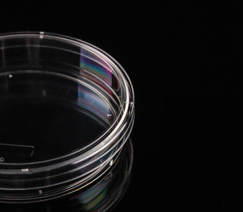 Cell Culture Dish