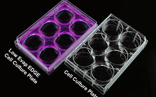 EDGE Plate Compared to Standard 6 Well TC Plate
