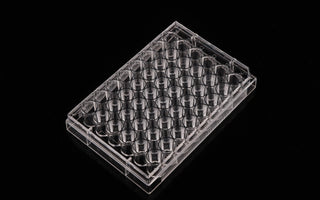 96 Well Cell Culture Plate
