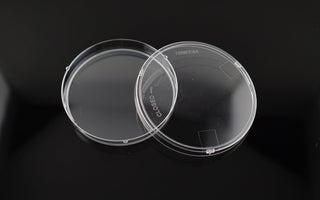A petri dish