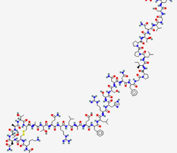 What is Cagrilintide? GMP Plastic What is Cagrilintide? GMP Plastic