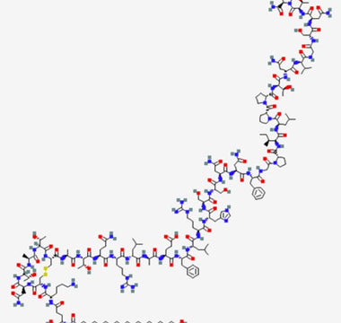What is Cagrilintide?