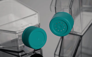 Up Close Look at Vented and Plug Seal Caps