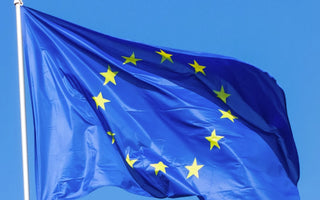 EU Flag - The REACH Masterminds