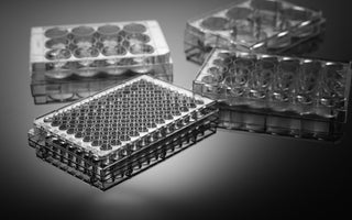 NEST Cell Culture Plates
