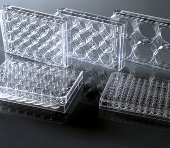 Different Kinds of Tissue Culture Plastics
