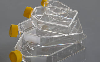 Non-Treated Cell Culture Flasks