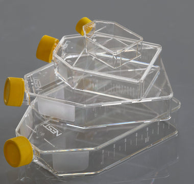Non-Treated Cell Culture Flasks