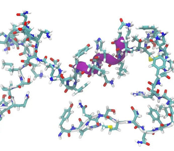 retatrutide structure What is Retatrutide? – GMP Plastic retatrutide structure What is Retatrutide? – GMP Plastic