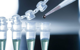 How to Purify Proteins