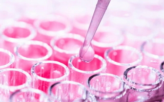 Cell Culture Plate with Media