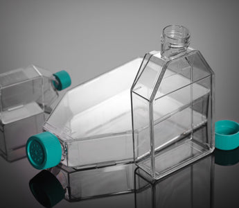 Straight vs. Angled Neck Cell Culture Flasks: Which One to Choose?