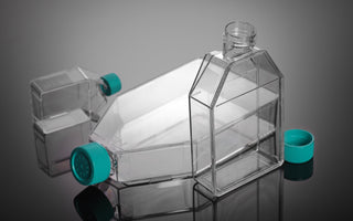 How to Avoid Contamination in Cell Culture