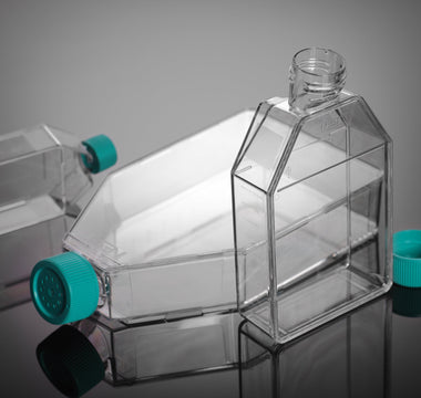 How to Avoid Contamination in Cell Culture