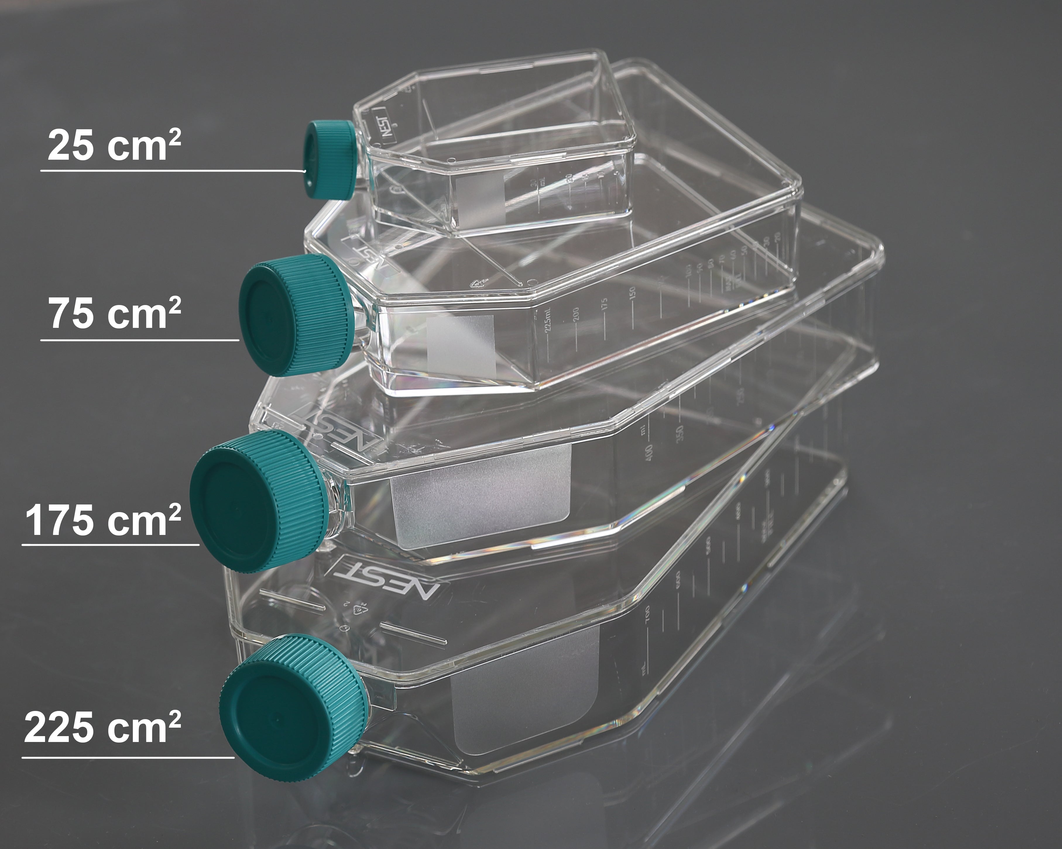 How to Use a Cell Culture Flask – GMP Plastic