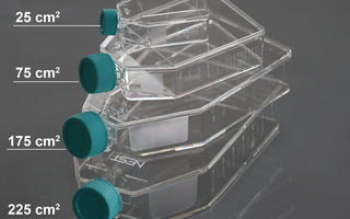 NEST Treated Cell Culture Flasks