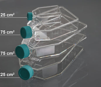 NEST Treated Cell Culture Flasks