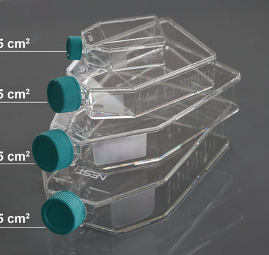 NEST Treated Cell Culture Flasks