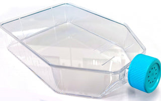 Vented Cap Treated Cell Culture Flask
