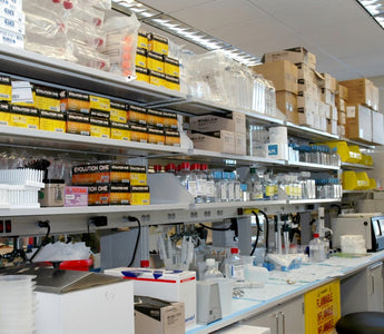 USP Testing Lab