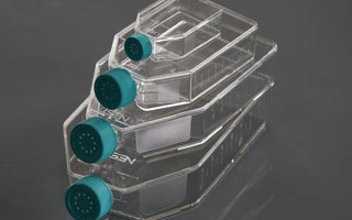 Plasma tissue culture treated flasks