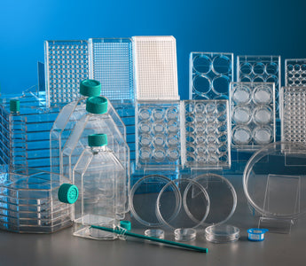 Cell Culture Collection