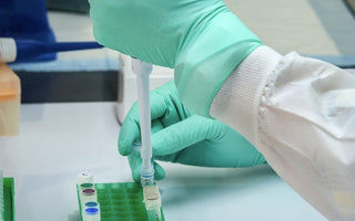 A Scientist doing biocompatibility testing. 