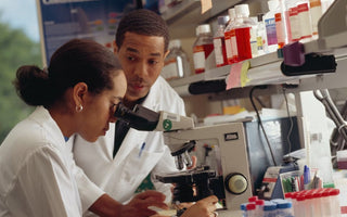 Technicians viewing blood cells. 