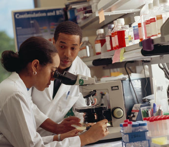 Technicians viewing blood cells. 