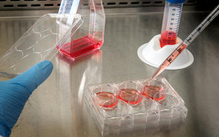 How Often Should You Change Your Cell Culture Media?