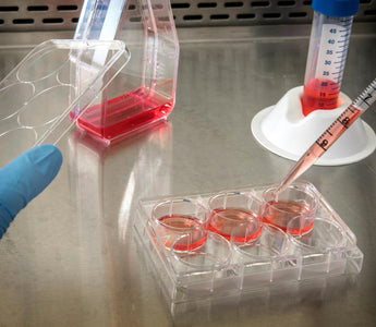 How Often Should You Change Your Cell Culture Media?