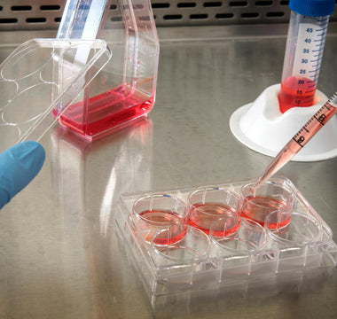 How Often Should You Change Your Cell Culture Media?