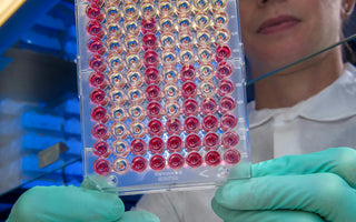 Woman in Lab Holding Cell Culture Dish