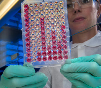 Woman in Lab Holding Cell Culture Dish