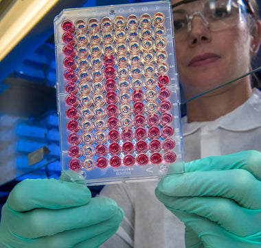 Woman in Lab Holding Cell Culture Dish