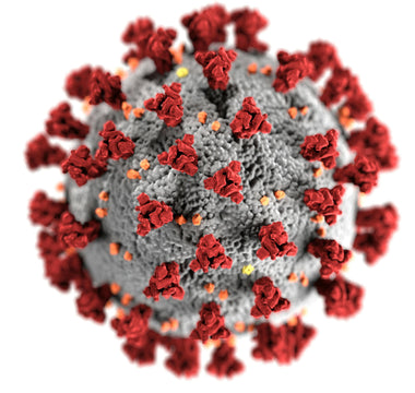 Title: New Dual-Antibody Therapy Neutralizes All COVID-19 Variants