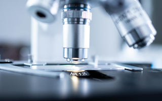 Industrial Microbiology: Applications, Processes, and Future Trends