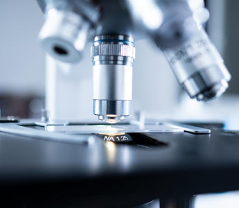 Industrial Microbiology: Applications, Processes, and Future Trends