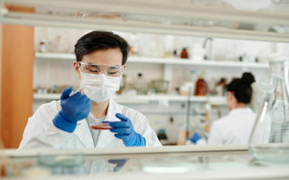 Man In Lab Pipetting On To Agar Plate
