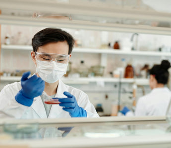 Man In Lab Pipetting On To Agar Plate