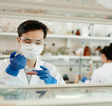 Man In Lab Pipetting On To Agar Plate